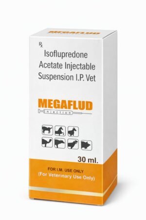 MEGAFLUD